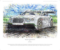 Bentley Continental GT3 - POPBANGCOLOUR Shop
