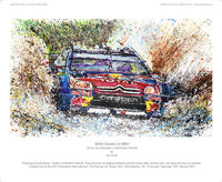 Citroen C4 WRC 2010 (Loeb) - POPBANGCOLOUR Shop