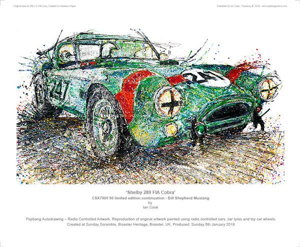 Shelby Cobra - POPBANGCOLOUR Shop