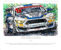 Multimatic Motorsports Ford Mustang GT4 - POPBANGCOLOUR Shop
