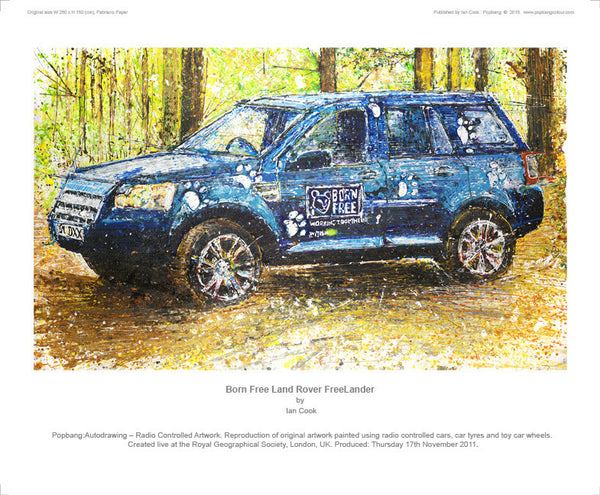Land Rover Freelander Born Free - POPBANGCOLOUR Shop