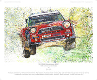 Mini Countryman WRC (2011) - POPBANGCOLOUR Shop