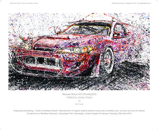 Nissan Silvia S15 #TooleyS15 - POPBANGCOLOUR Shop