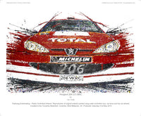 Peugeot 206 GTi WRC - POPBANGCOLOUR Shop