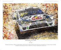 Volkswagen Polo R WRC - POPBANGCOLOUR Shop