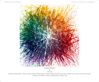 Colour Wheel 1 - POPBANGCOLOUR Shop